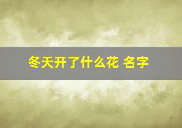 冬天开了什么花 名字